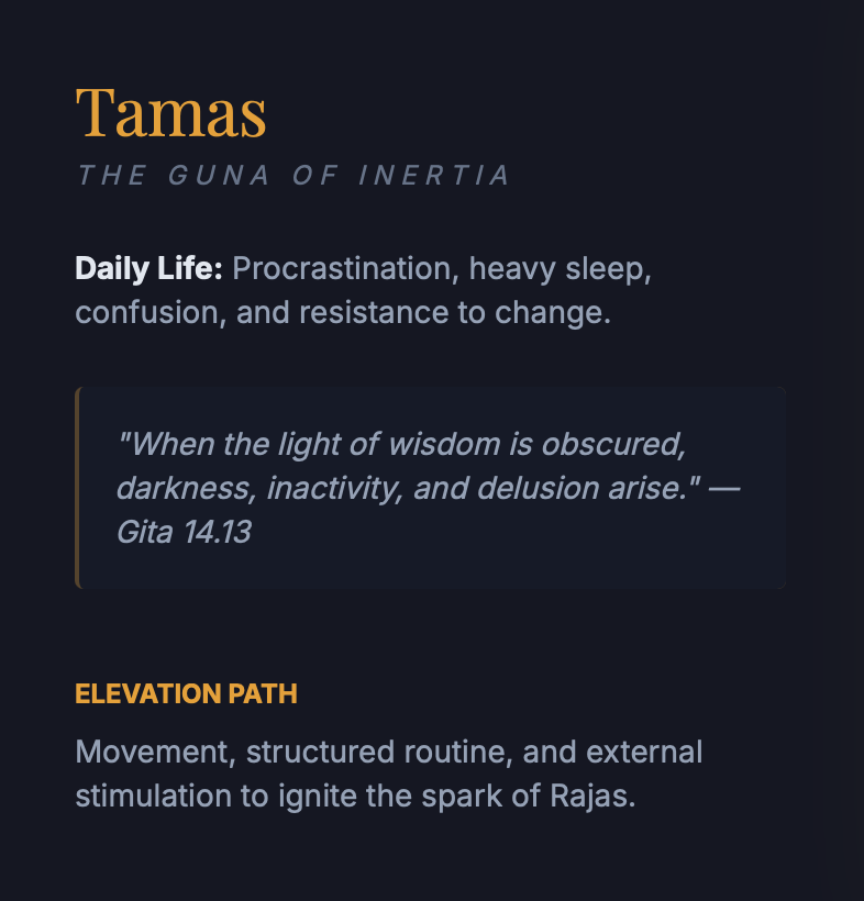 screenshot 2026 03 29 at 12.37.36 pm